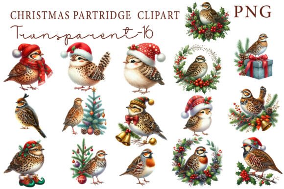 Christmas Partridge Clipart for Illustrations and Branding